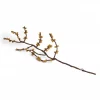 Branch w/Yellow Berries
