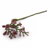 Wisteria - Dusty Purple