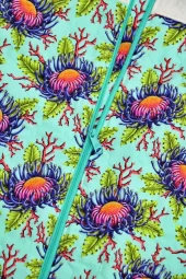 gallery-39592-for-815217023670