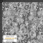 AVALANA Jersey - Africa