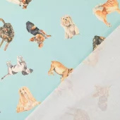 gallery-39913-for-93098