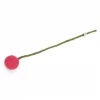 Flower Melon Diameter 3 cm