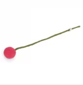 Flower Melon Diameter 3 cm