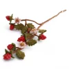 Raspberry Branch