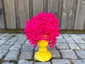 Pomponger - 10 mm Rosa