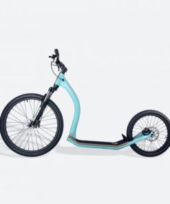 Gravity Scooter M10