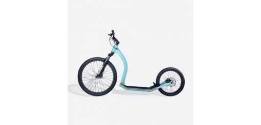 Gravity Scooter M10
