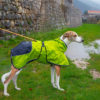 Axa 4 season dog coat