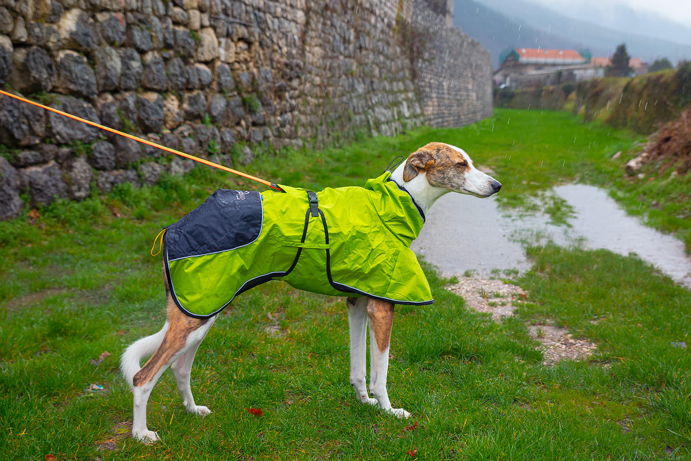 Axa 4 season dog coat