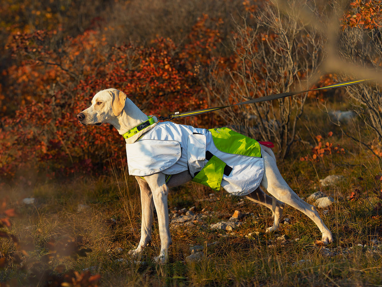 Axa raincoat windbreaker