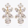 Dione earrings, crystal