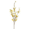 Forsythia, 120 cm