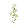 Lilje hvit, 65 cm