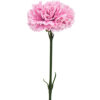 Nellik rosa, 55 cm