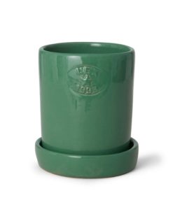 Lexington Terracota Plant Pot - terracottapotte - green