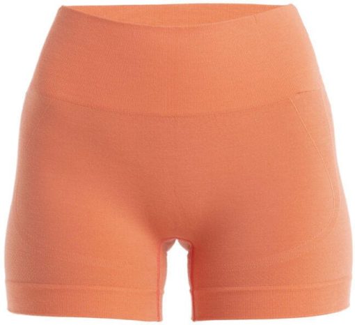 Icebreaker  "Women Merino Seamless Active 4"" Shorts"