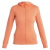 Icebreaker  Women Merino 260 Quantum Iv Ls Zip Hoodie