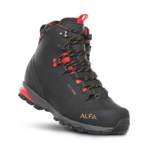 Alfa  Holt Aps Gtx M