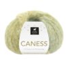 CANESS 2504 Caribbean Kiwi