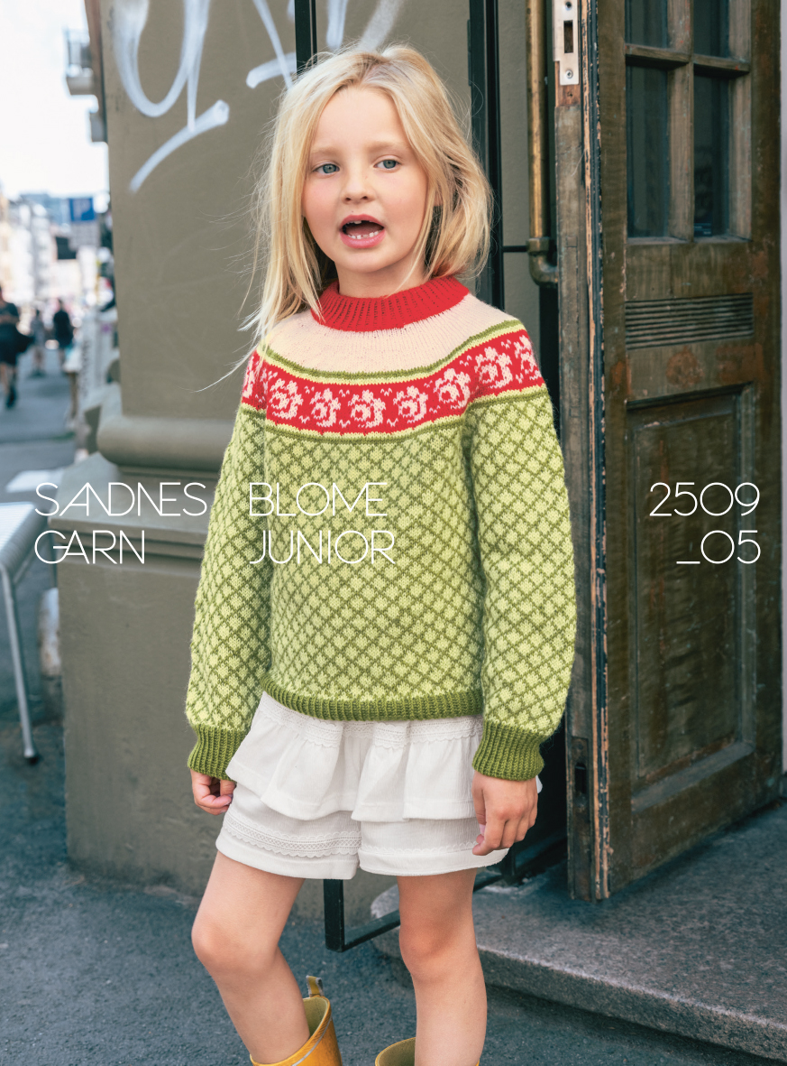 2509-05 BLOME GENSER JR 4 farger