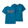 Patagonia  W P-6 Logo Organic Crew T-Shirt Steller Blue