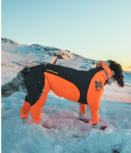 Non-Stop Dogwear Protector snow Female