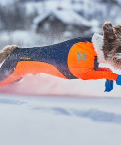Non-Stop Dogwear Protector snow Male
