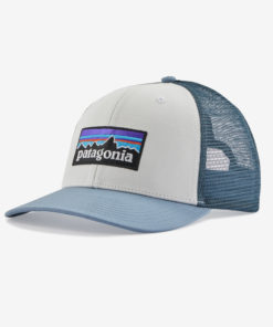 Patagonia  P-6 Logo Trucker Hat WLGY