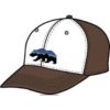 Patagonia  Fitz Roy Bear Trucker Hat