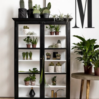 gallery-4271-for-ND5901