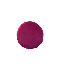 45Ø Basic Anemone Pute