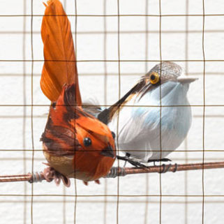 gallery-13903-for-CHL5ET6