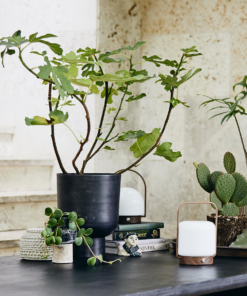 gallery-29961-for-ND8820