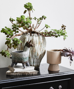 gallery-29984-for-ND42020