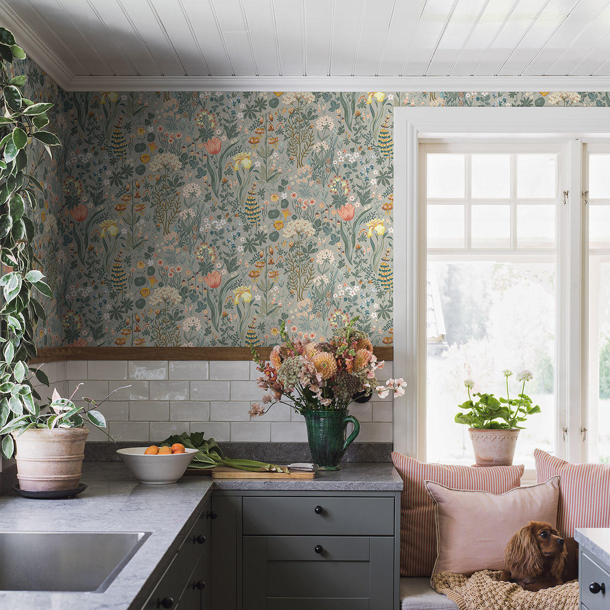 gallery-30417-for-WPBLOMSTERHAV