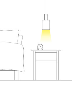 gallery-31137-for-RL411574