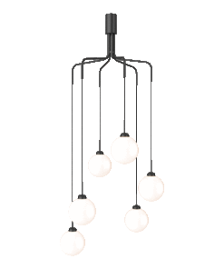 Apiales Cluster 6 Taklampe