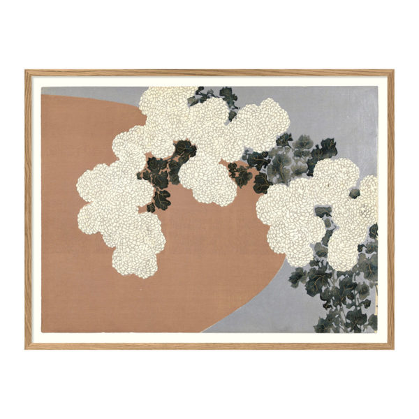 Poster m/ramme - Chrysantemum 100x70cm