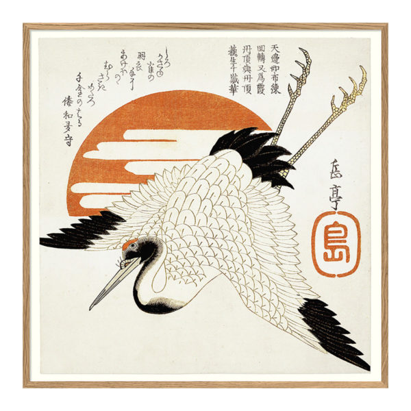 Poster m/ramme - Grus Japonensis 61x61cm
