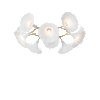 Petalii 10 Lysekrone