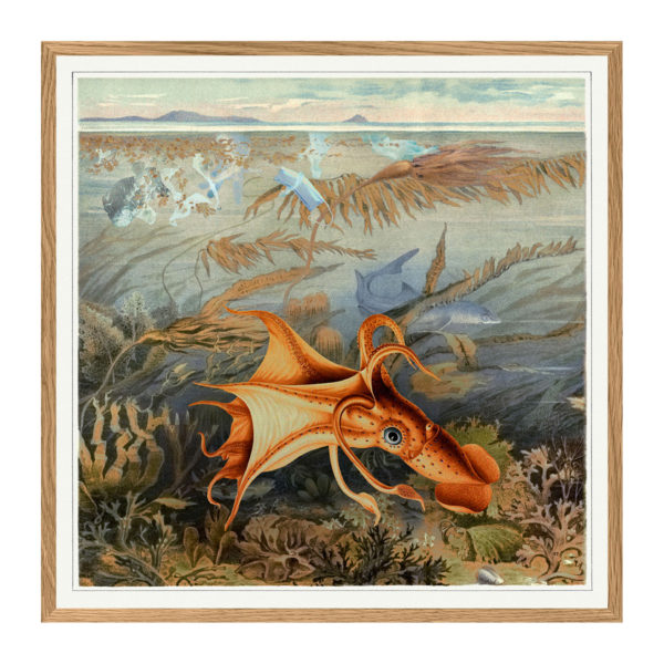 Poster m/ramme - Octopus 112x112cm
