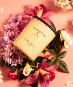 gallery-33331-for-CM5543