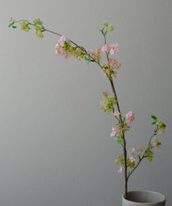 gallery-35254-for-BO0002