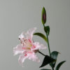Kunstig Blomst Lily Rosa