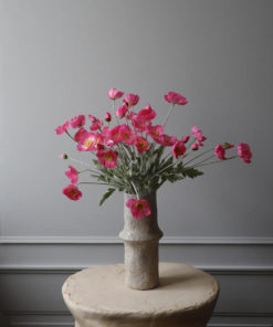 gallery-35279-for-BO0009