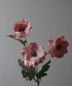 gallery-35676-for-BO0024