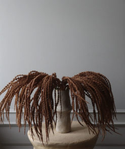 gallery-36090-for-BO0032