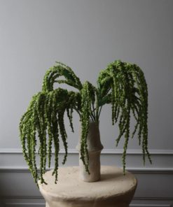 gallery-35255-for-BO0004