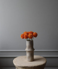 gallery-36985-for-BO0052