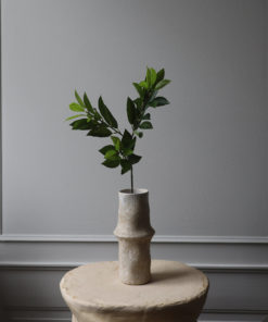 Kunstig Blomst Ruscus Leaves Green